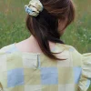 Big Scrunchie, Xadrez